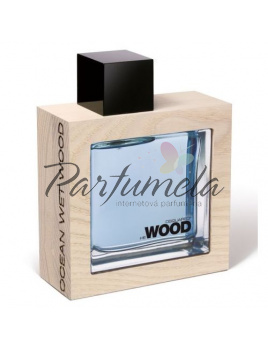 Dsquared2 He Wood Ocean Wet Wood, Toaletní voda 100ml