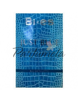 Bi-es Just Blue, Toaletní voda 100ml (Alternatíva vône Versace Man Eau Fraiche)