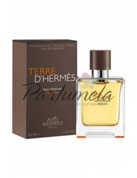 Hermes Terre D´Hermes eau Intense Vétiver, Parfémovaná voda 100ml - Tester