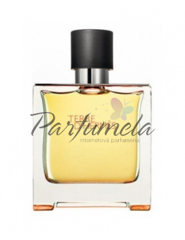Hermes Terre D Hermes Parfum, Parfém 200ml - tester